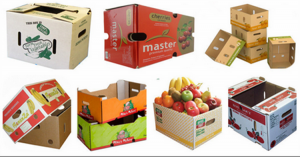 dus / box buah